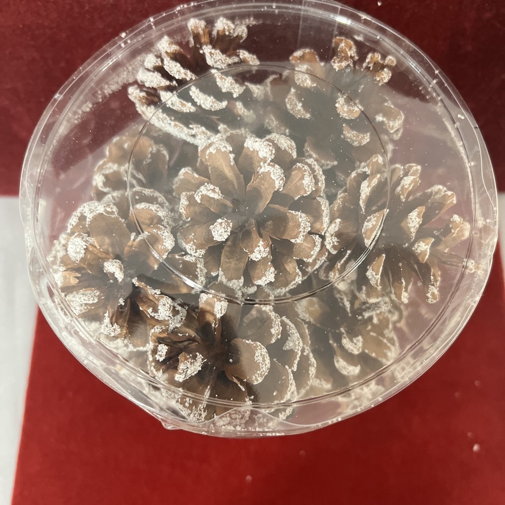 Ty‎ Pennington Christmas Shatrer Proof Pinecones - Picture 2 of 4